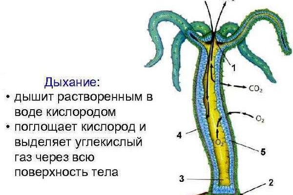 Кракен площадка что это