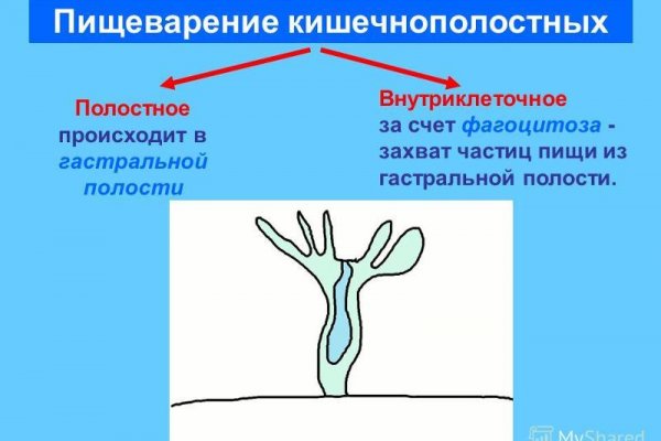 Скрытый интернет как войти