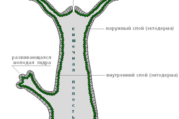 Кракен маркетплейс что там