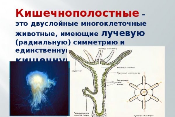 Ссылка на кракен даркнет